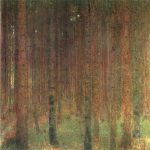 Fir Forest II