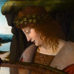 Narcissus