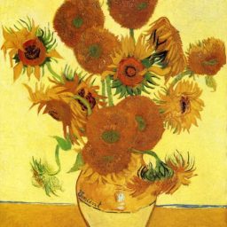 Sunflower by Vincent Van Gogh