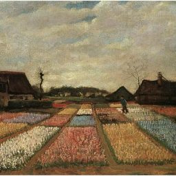 Bulb Fields by Vincent Van Gogh
