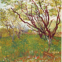 Cherry Tree, 1888 by Vincent Van Gogh