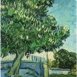 Chestnut Tree in Blossom by Vincent Van Gogh