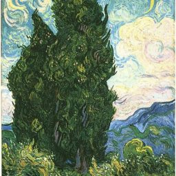 Cypresses By Vincent Van Gogh