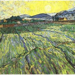 nclosed Wheat Field with Peasant By Vincent Van Gogh
